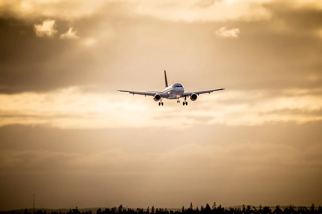 how-do-i-talk-to-a-live-person-at-japan-airlines